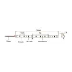 Tira LED  5 mts Flexible 24W 300 Led SMD 3528 IP54 Blanco Cálido